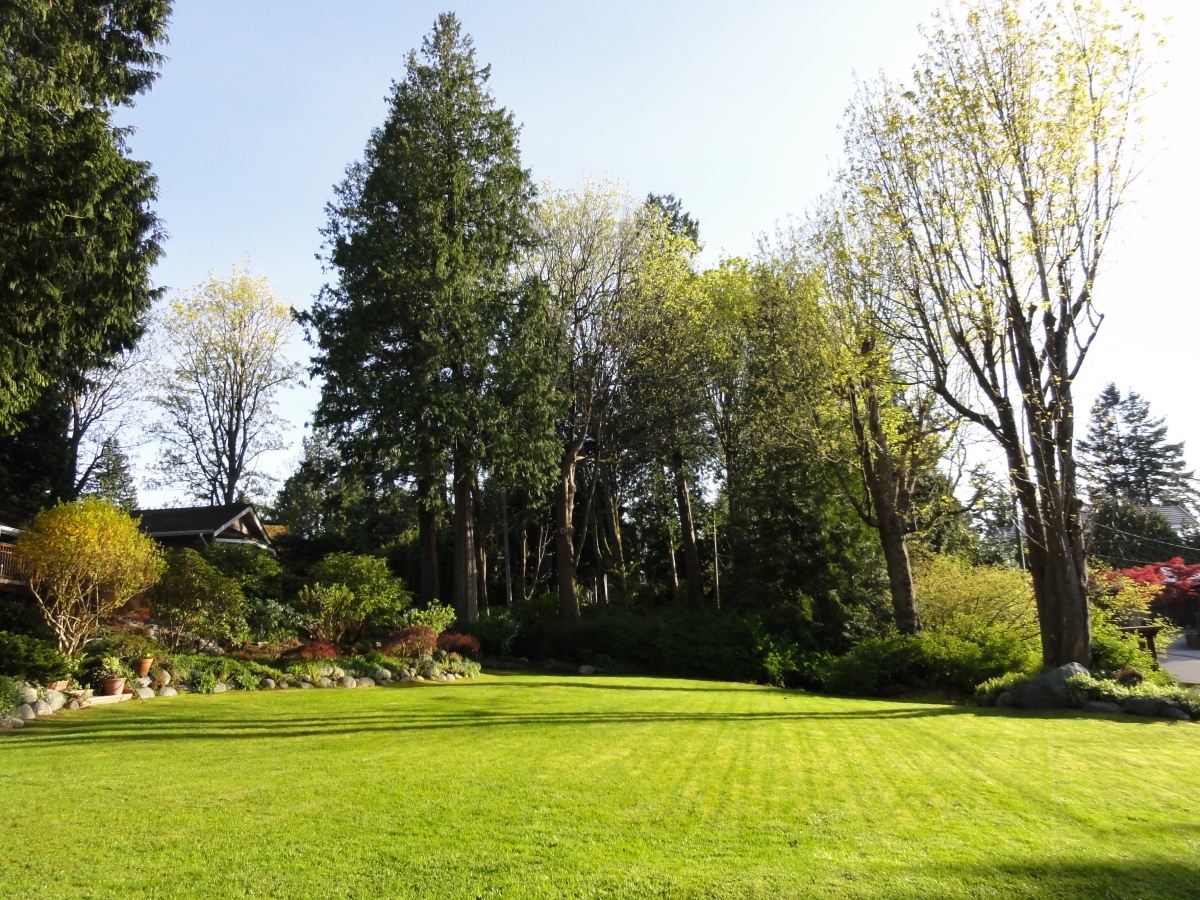 Crescent Drive front lawn S.JPG at 2540 Crescent Drive, Crescent Bch Ocean Pk., South Surrey White Rock